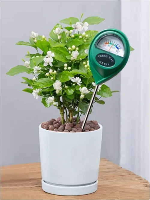 Soil moisture meter learning activity — Greek version